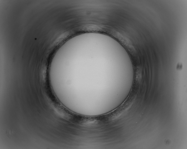 X0000101410206200807281033