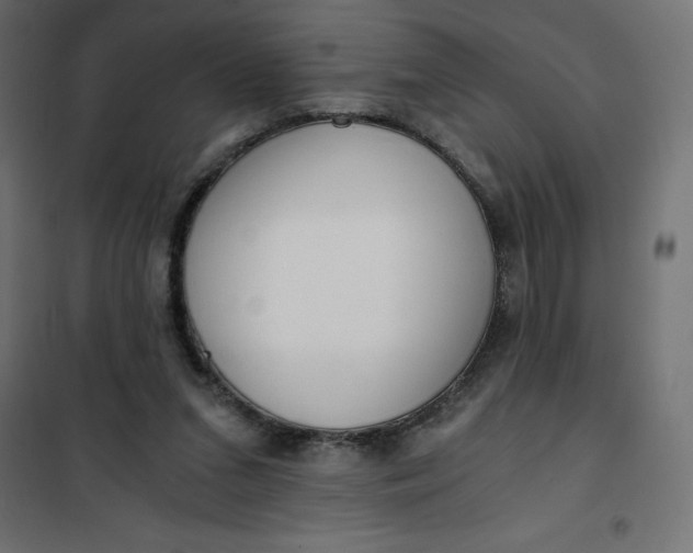 X0000101410207200807281033