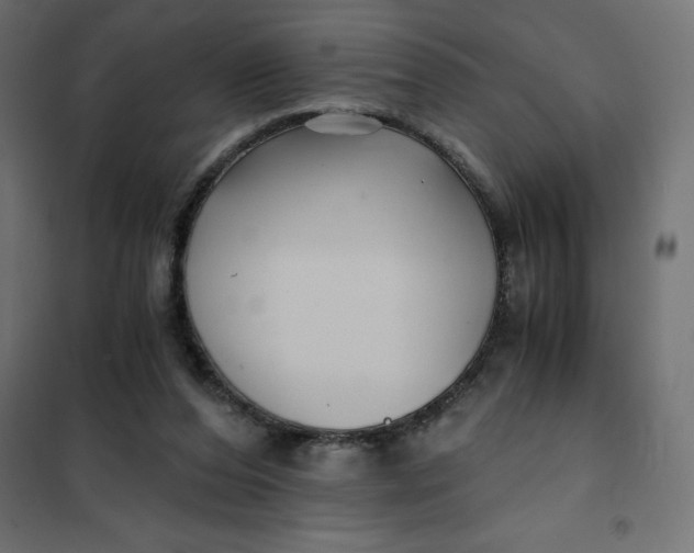 X0000101410208200807281033