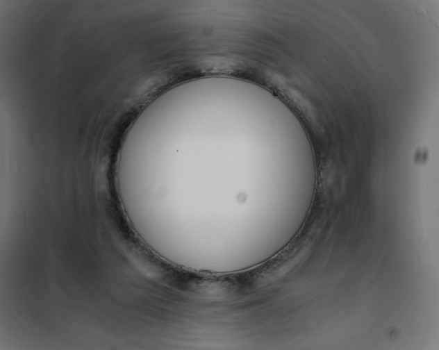 X0000101410209200807281033