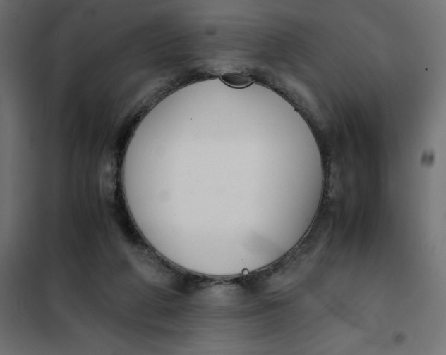 X0000101410210200807281033