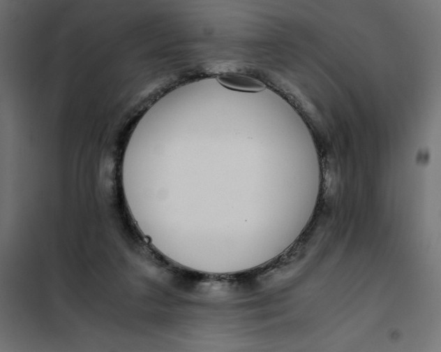 X0000101410211200807281033
