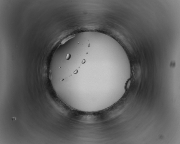 X0000101410212200807281033