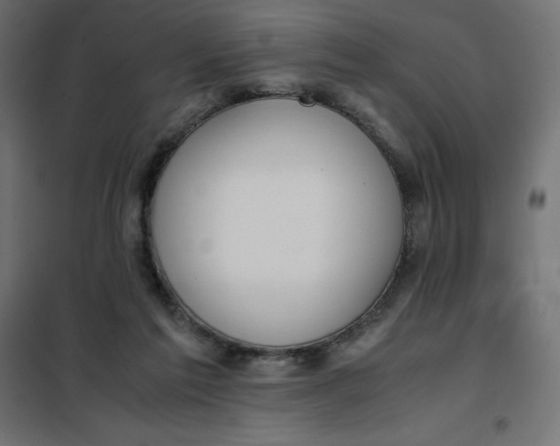 X0000101410213200807281033