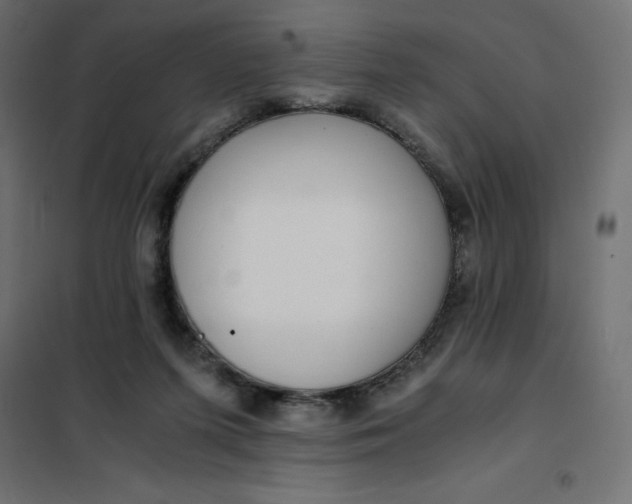 X0000101410215200807281033