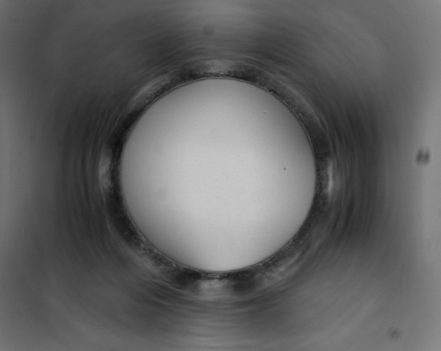 X0000101410216200807281033