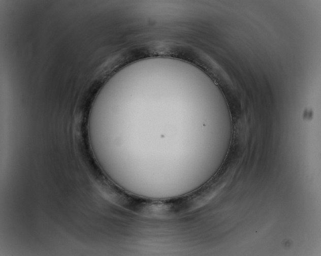 X0000101410217200807281033