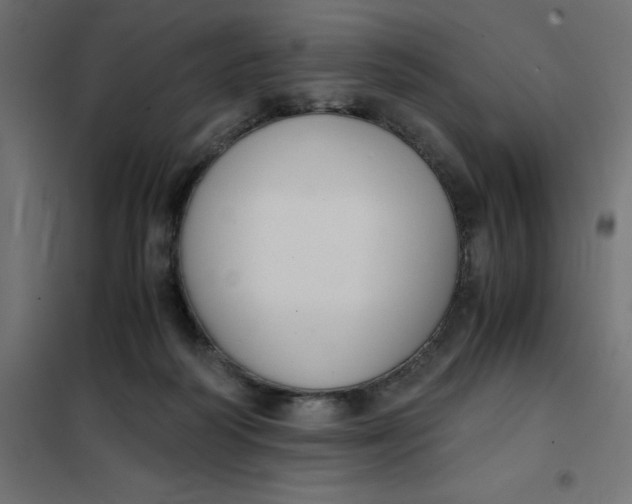 X0000101410218200807281033