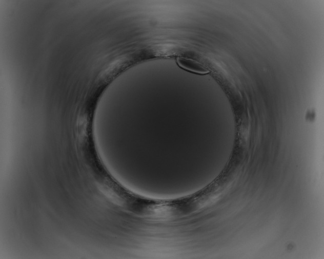 X0000101410219200807281033