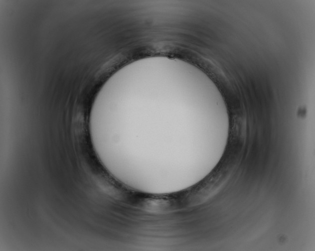 X0000101410220200807281033