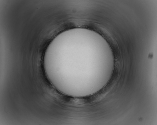 X0000101410221200807281033