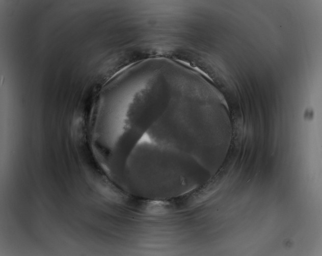 X0000101410222200807281033