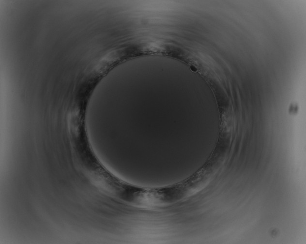 X0000101410223200807281033