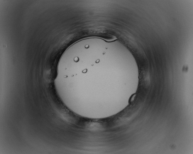 X0000101410224200807281033