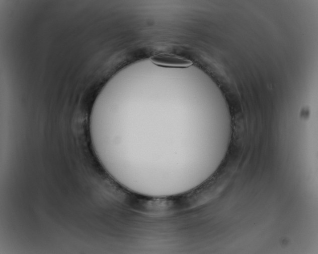 X0000101410225200807281033