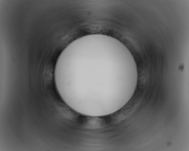 X0000101410226200807281033