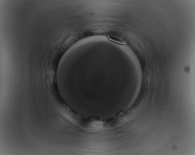 X0000101410227200807281033