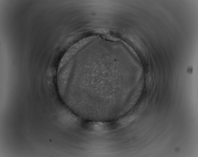 X0000101410229200807281033