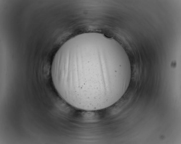 X0000101410230200807281033
