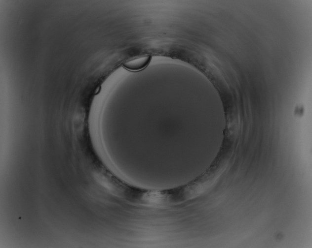 X0000101410231200807281033
