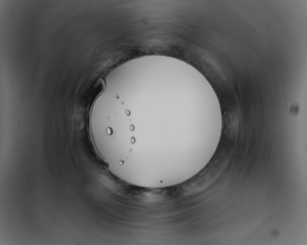 X0000101410232200807281033
