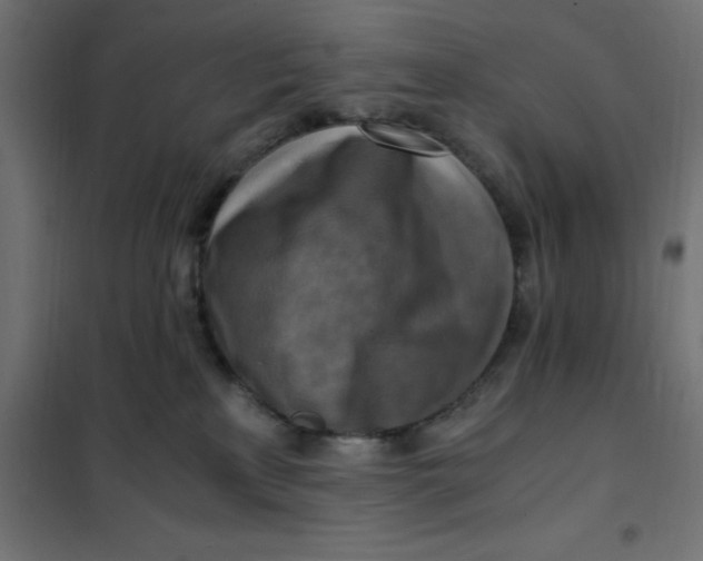 X0000101410233200807281033