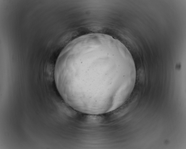 X0000101410234200807281033