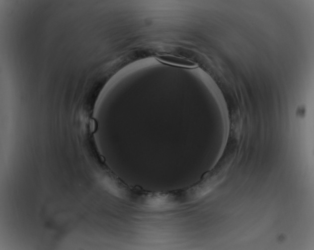 X0000101410235200807281033