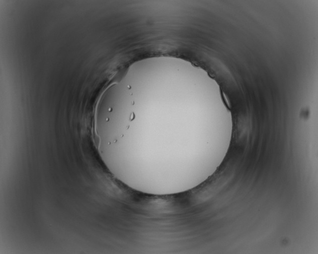 X0000101410236200807281033