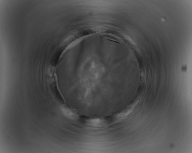 X0000101410237200807281033