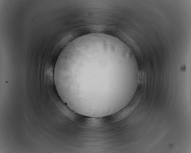 X0000101410238200807281033