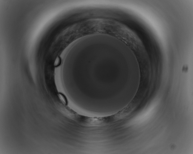 X0000101410239200807281033