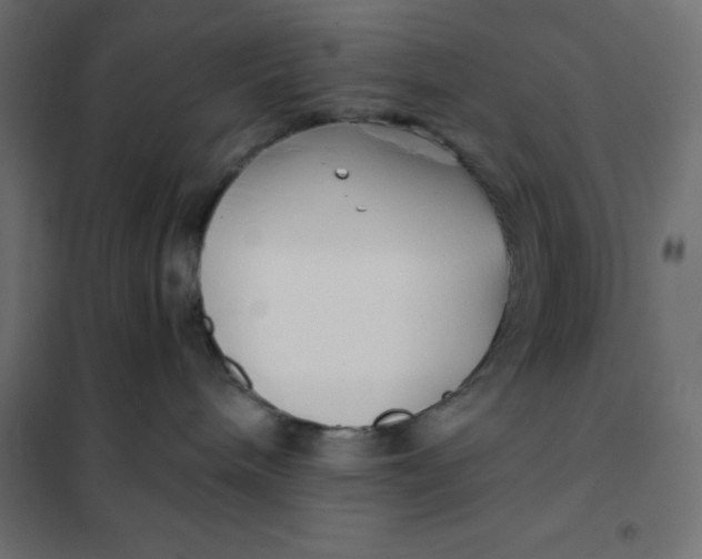 X0000101410240200807281033