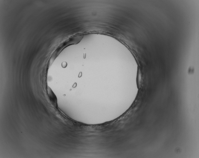 X0000101410241200807281032
