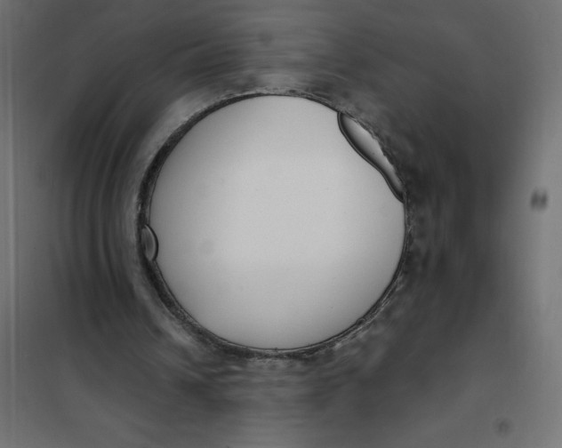 X0000101410242200807281032