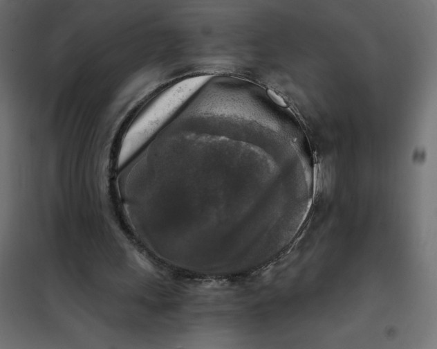 X0000101410243200807281032