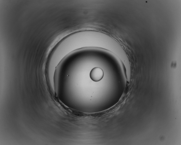 X0000101410244200807281032