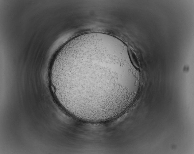X0000101410245200807281032