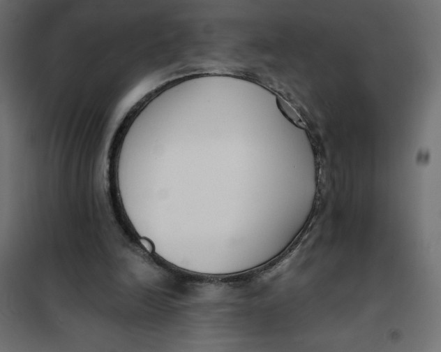 X0000101410246200807281032