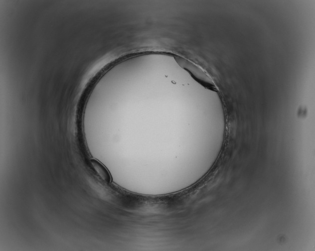 X0000101410248200807281032
