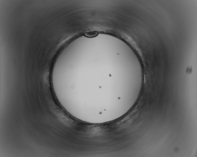 X0000101410249200807281032