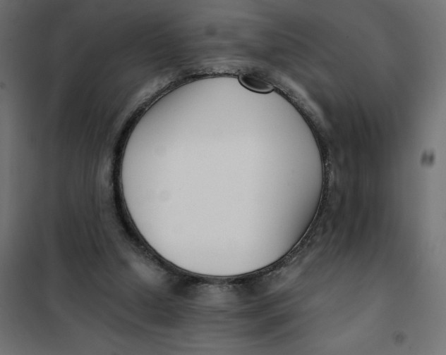 X0000101410250200807281032
