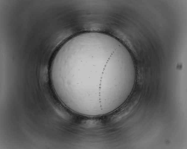 X0000101410251200807281032