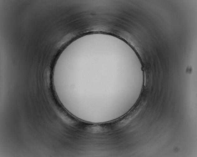 X0000101410253200807281032