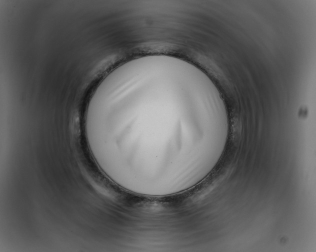 X0000101410254200807281032