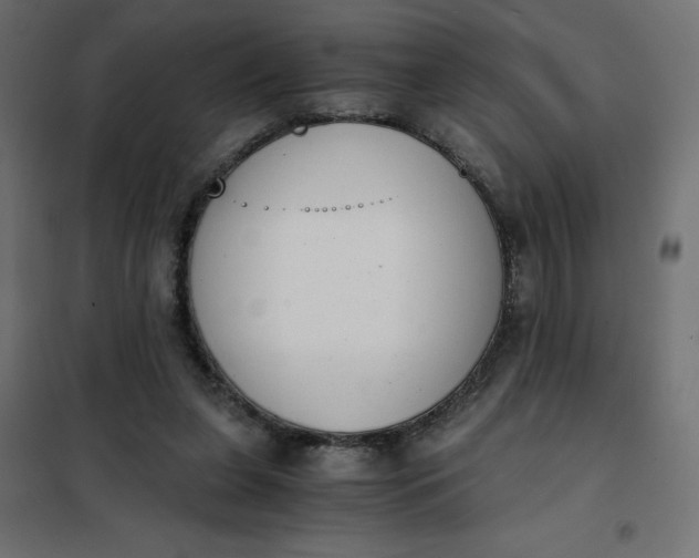 X0000101410255200807281032