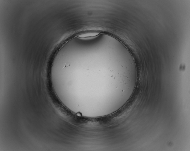 X0000101410256200807281032
