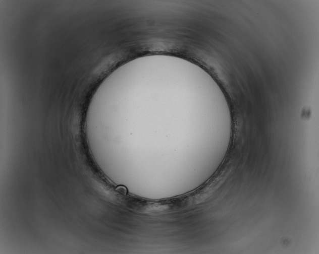 X0000101410257200807281032