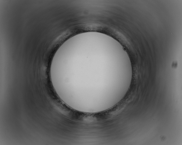 X0000101410258200807281032