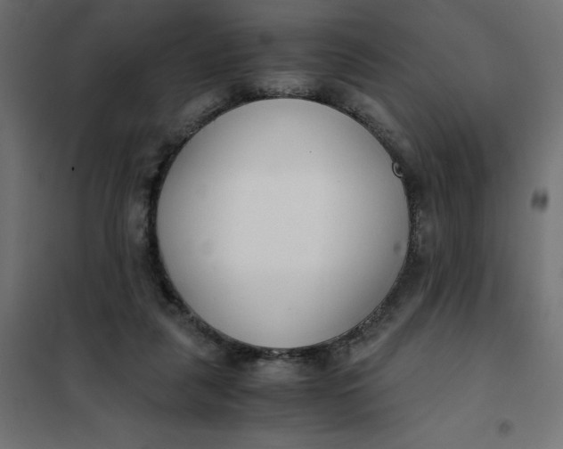 X0000101410259200807281032